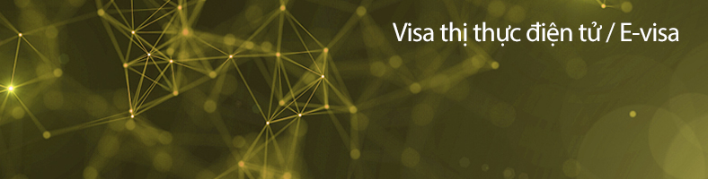 Visa thị thực điện tử