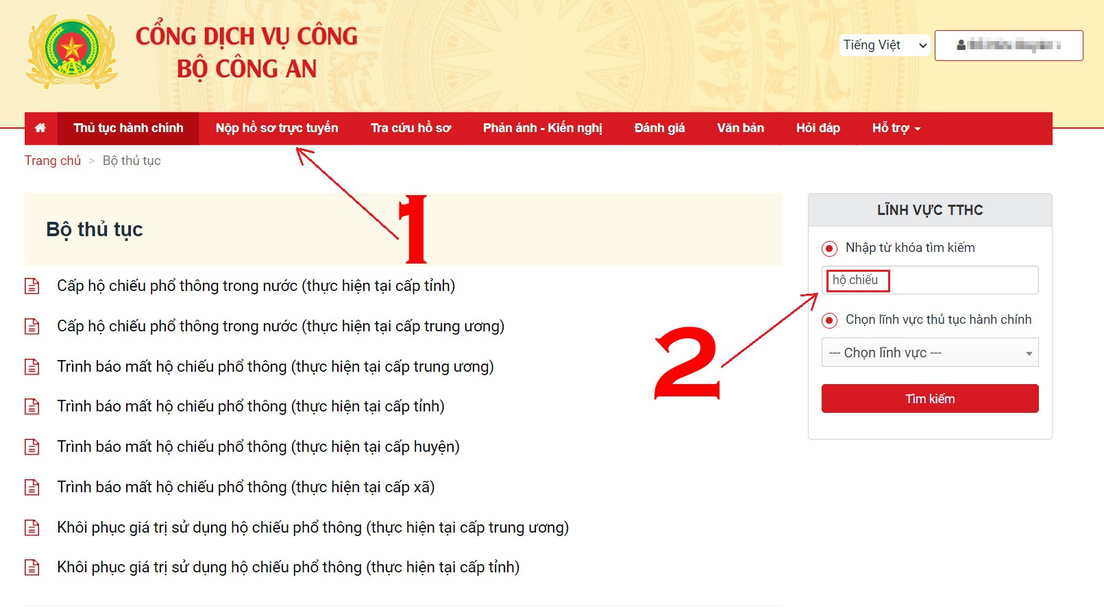 lam ho chieu gan chip online 1